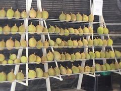 -都念榴莲·城市榴莲