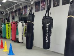 -TFC 纯泰拳馆MuayThai