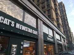 -CAT’S MEWSTAR CAFE·喵星球猫屋(晴湾咖啡店)