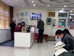 -美联众合动物医院·24h京西诊疗中心