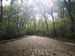 -灵谷景区