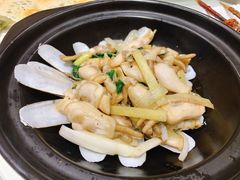 姜葱炒蛏子-双井轩(双井店)