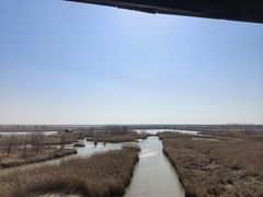 -盐城丹顶鹤湿地生态旅游区