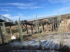 -鄂尔多斯野生动物园