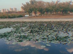 -尚贤河湿地
