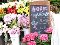 -麒麟中餐厅·经典粤菜·地道菜式老字号(广州长隆酒店)