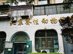 -北京赛佳动物医院