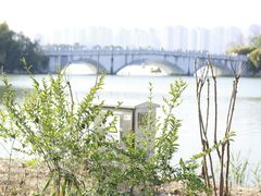 -洋湖国家湿地公园