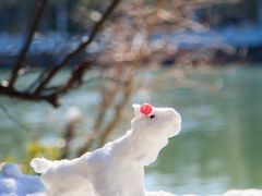 -八大山人梅湖景区