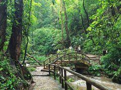 -莫里热带雨林景区