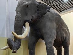 -国家自然博物馆