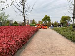 -官亭林海