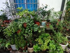 -家烧面馆【南山路知名经典面食】