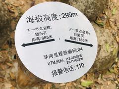 -火炉山森林公园