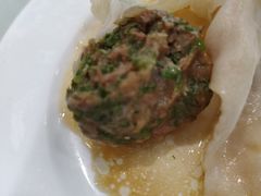茴香猪肉饺子-陶然饺子城(奥体中路店)