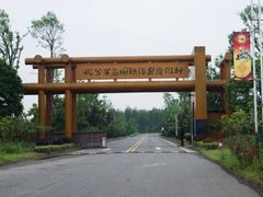 -悦兮半岛温泉度假酒店·餐厅部