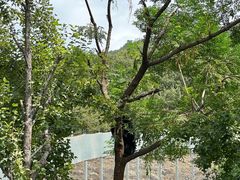 -合肥野生动物园
