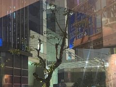 -上海锦江汤臣洲际大酒店壹阶层