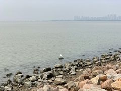 -深圳湾公园(南山区)