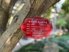 -水绘园