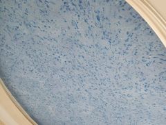 -菲迪科尔墙衣(集美家居定慧桥店)