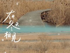 -盐城丹顶鹤湿地生态旅游区
