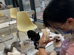 -怪兽屋·羊驼·猫咖·狗咖(俊华广场店)