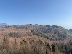 -山王坪喀斯特国家生态公园