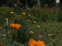 -广州市紫泥堂文化创意园景区