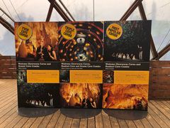 -怀托摩萤火虫洞