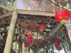 -大雁山风景区