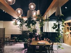 -柴务处·柴犬主题狗咖