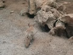 -昆明动物园