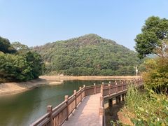 -桃花岭景区