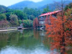 -广州市帽峰山景区
