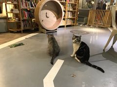 -小时光咖啡馆(开森度假森林店)
