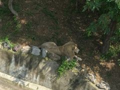 -石家庄市动物园