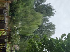 -北京民族园葉子里酒店(鸟巢店)