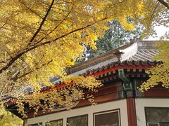 -后海公园