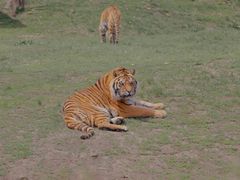 -沈阳森林动物园