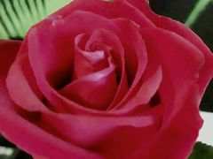 -万达影城(南宁印象城IMAX店)