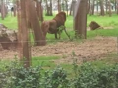 -秦皇岛野生动物园