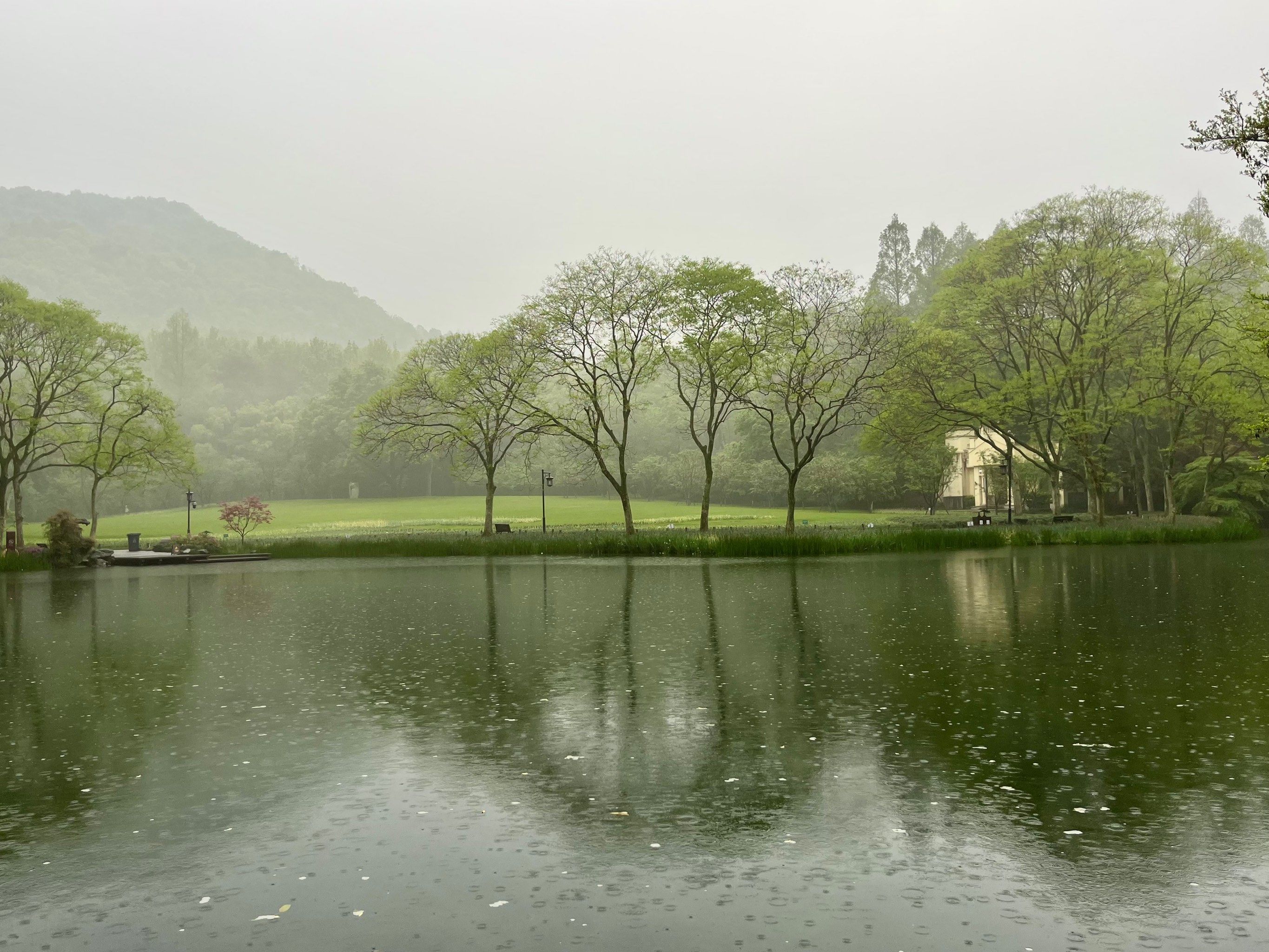新疆天山天池下雨美景描述 新疆天山天池下雨美景描述