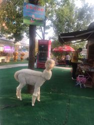 -萌宠亲子动物乐园(槐房万达店)