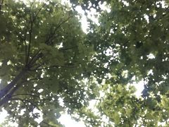 -安徽大学(磬苑校区)