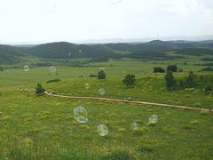 -塞罕坝国家级自然保护区