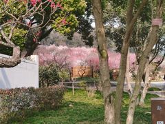 -无锡梅园公园