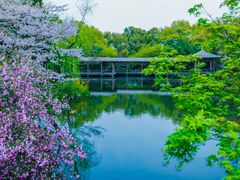 -西湖外事游船(花港观鱼码头)