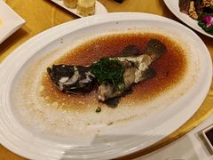 -新海利海鲜城·41年珠海老字号(夏湾店)