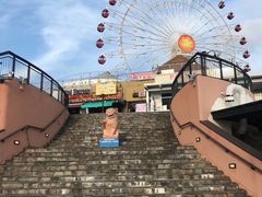 -美国村